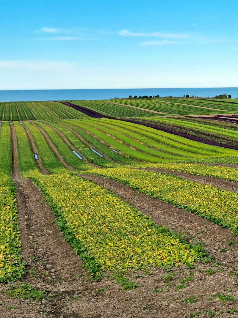 sustainable-land-use-resource-consents-and-compliance-aqualinc-research-new-zealand