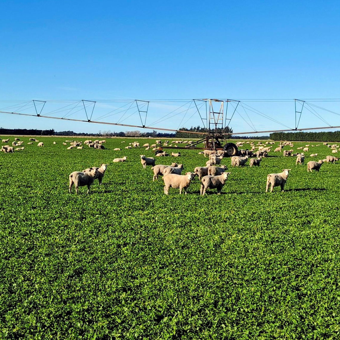 aligning-resource-allocation-with-actual-use-aqualinc-new-zealand