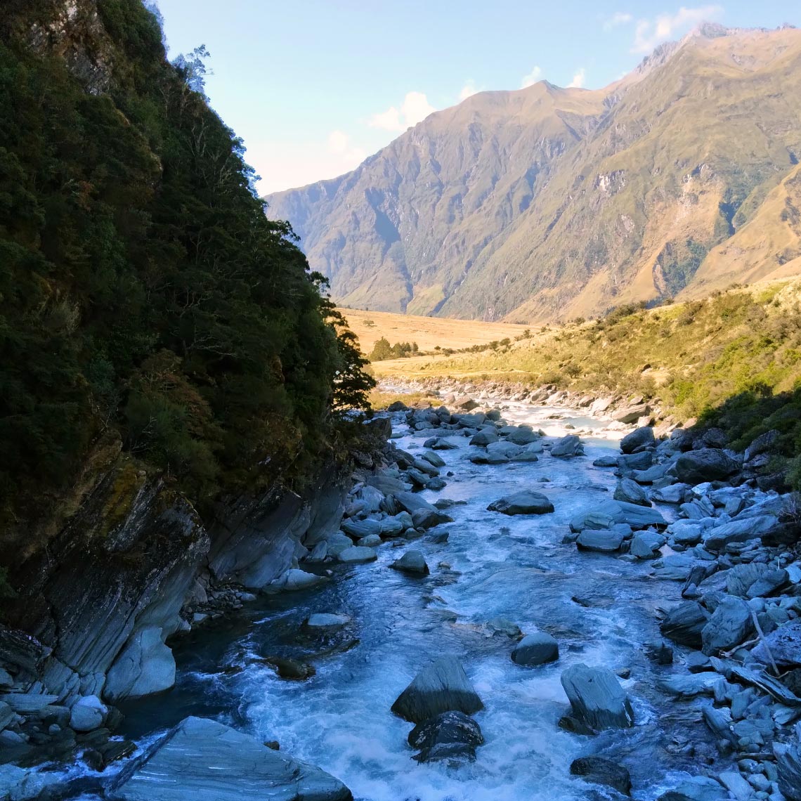 disentangling-the-water-reforms-aqualinc-research-ltd-nz