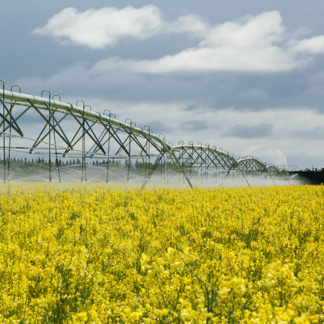 will-your-irrigation-consent-be-renewed-aqualinc-nz